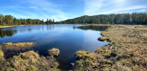 Water sampling – Austlitjønna, Trondheim