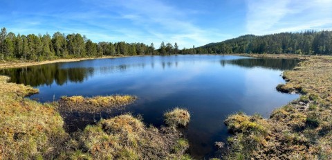 Water sampling – Austlitjønna, Trondheim