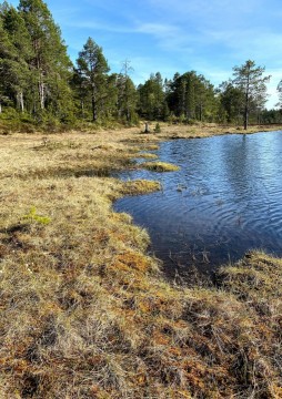 Water sampling – Austlitjønna, Trondheim