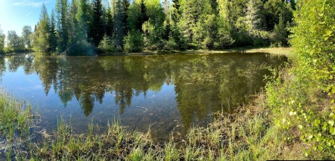 Water sampling – Stokkedammen, Trondheim