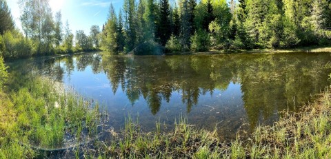 Water sampling – Stokkedammen, Trondheim