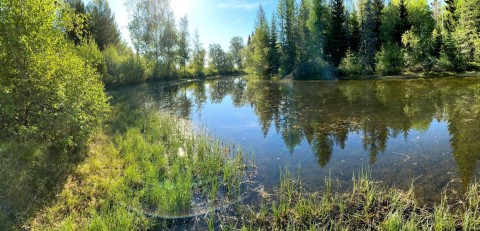 Water sampling – Stokkedammen, Trondheim