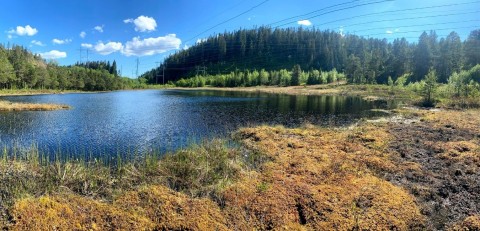 Water sampling – Rundhaugtjønna, Trøndelag