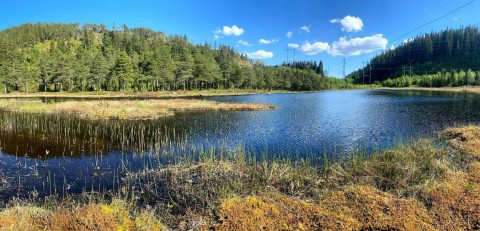 Water sampling – Rundhaugtjønna, Trøndelag