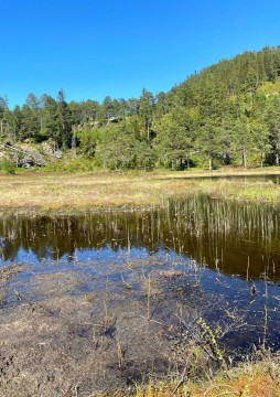 Water sampling – Rundhaugtjønna, Trøndelag