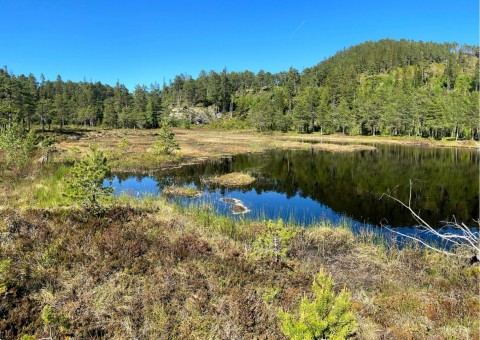 Water sampling – Rundhaugtjønna, Trøndelag