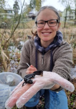 Amphibians sampling – Nesvangen, Oslo