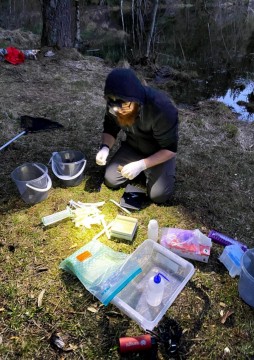 Amphibians sampling – Oslo area