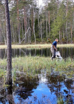 Amphibians sampling – Oslo area