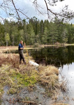 Amphibians sampling – Oslo area