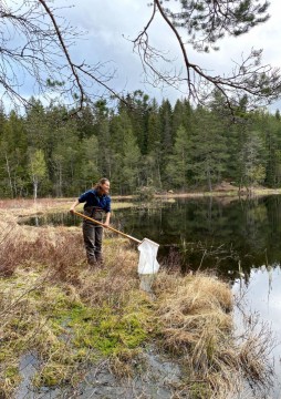 Amphibians sampling – Oslo area