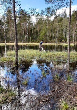 Amphibians sampling – Oslo area