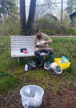 Amphibians sampling – Oslo area