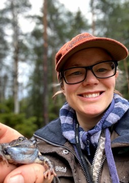 Amphibians sampling – Sognsvannputten, Oslo