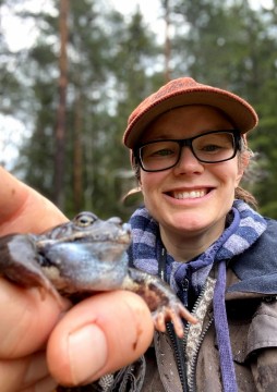 Amphibians sampling – Sognsvannputten, Oslo