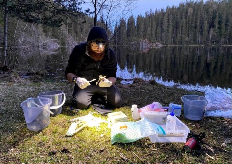 Amphibians sampling – Oslo area