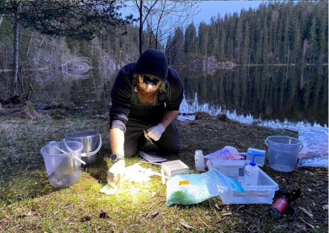 Amphibians sampling – Oslo area