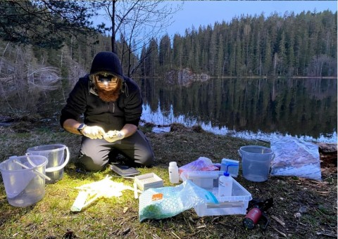 Amphibians sampling – Oslo area