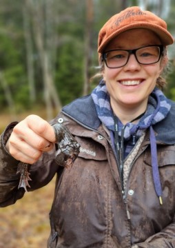 Amphibians sampling – Sognsvannputten, Oslo