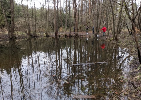 Water sampling – Tenczynek area (commune Krzeszowice)