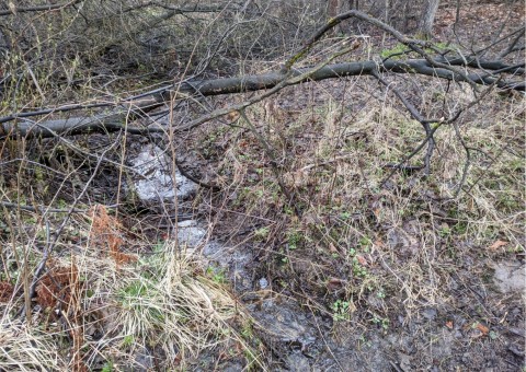 Water sampling – Tenczynek area (commune Krzeszowice)