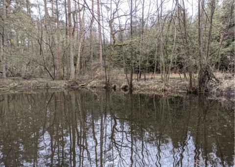 Water sampling – Tenczynek area (commune Krzeszowice)