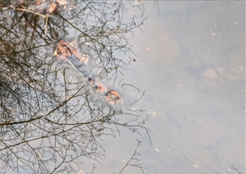 Water sampling – Tenczynek area (commune Krzeszowice)