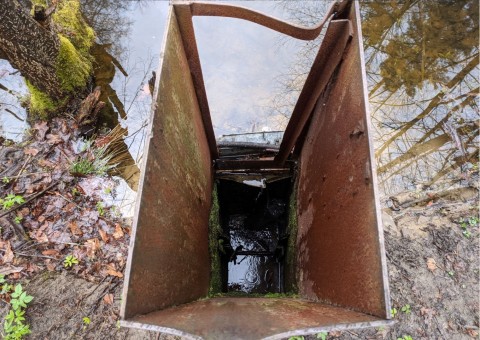 Water sampling – Tenczynek area (commune Krzeszowice)