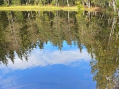 Autumn 2021, Sognsvannputten, Oslo – water sampling