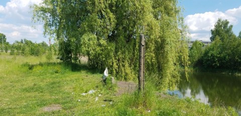Pobieranie prób ważek – Konduktorska, Katowice (WP3, WP5)