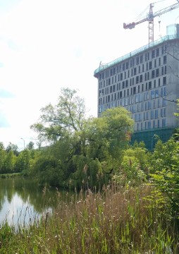 Pobieranie prób ważek – Konduktorska, Katowice (WP3, WP5)