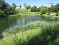 Staw Brodowski, Szczecin – pobór prób ważek