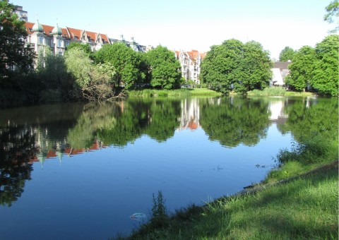 Pobieranie prób ważek – Rusałka, Szczecin