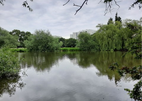 Pobieranie prób ważek – Ögårdsparken, Malmö (WP3)