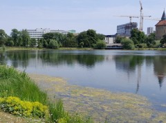 Kronborg, Malmö – pobór prób ważek (WP3, WP5)