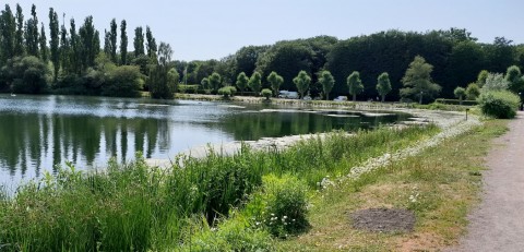 Pobieranie prób ważek – Kronborg, Malmö (WP3, WP5)