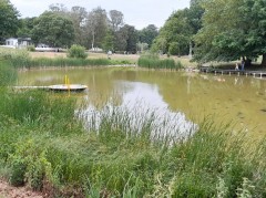Beijer's Park, Malmö – pobór prób ważek (WP3)