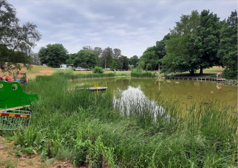 Pobieranie prób ważek – Beijer's Park, Malmö (WP3)