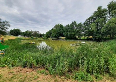 Pobieranie prób ważek – Beijer's Park, Malmö (WP3)