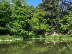 Botanical Garden, Lund – pobór prób ważek (WP3, WP5)