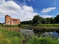 Torups slottsträdgård, Bara – pobór prób ważek (WP5)