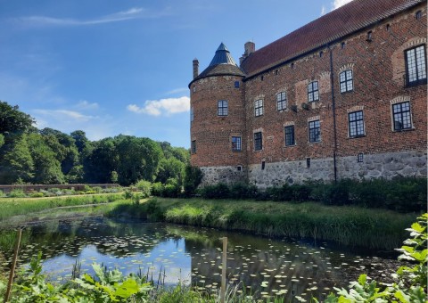 Pobieranie prób ważek – Torups slottsträdgård, Bara (WP5)