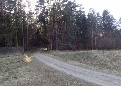 Pobieranie prób i wymazów płazów – Oliwa, Gdańsk