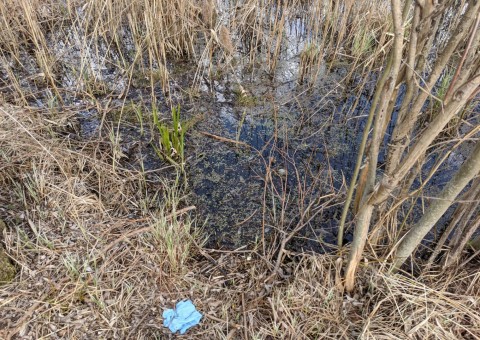 Pobieranie prób wody – Łyżwiarska, Borkowo, Gdańsk