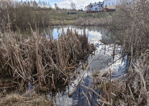 Pobieranie prób wody – Łyżwiarska, Borkowo, Gdańsk