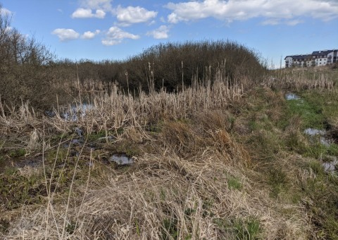 Pobieranie prób wody – Łyżwiarska, Borkowo, Gdańsk