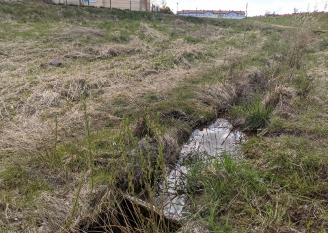 Pobieranie prób wody – Łyżwiarska, Borkowo, Gdańsk