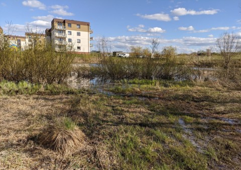 Pobieranie prób wody – Zielony Staw, Gdańsk