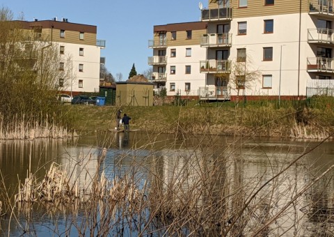 Pobieranie prób wody – Zielony Staw, Gdańsk