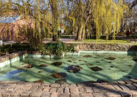 Pobieranie prób wody – Park Oliwski, Gdańsk